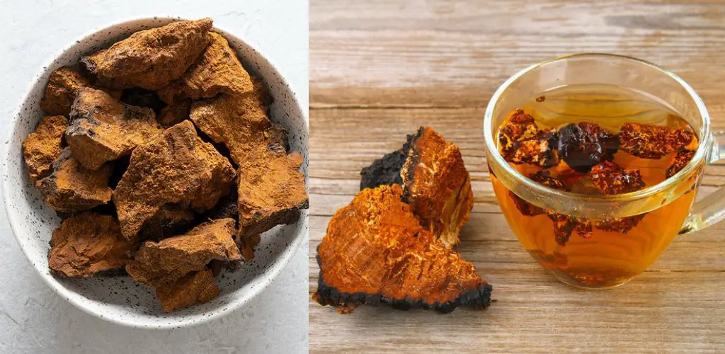 How to Make Chaga Tea in Slow Cooker