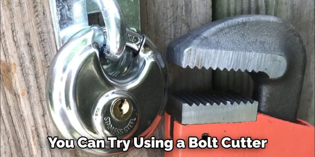 You Can Try Using a Bolt Cutter