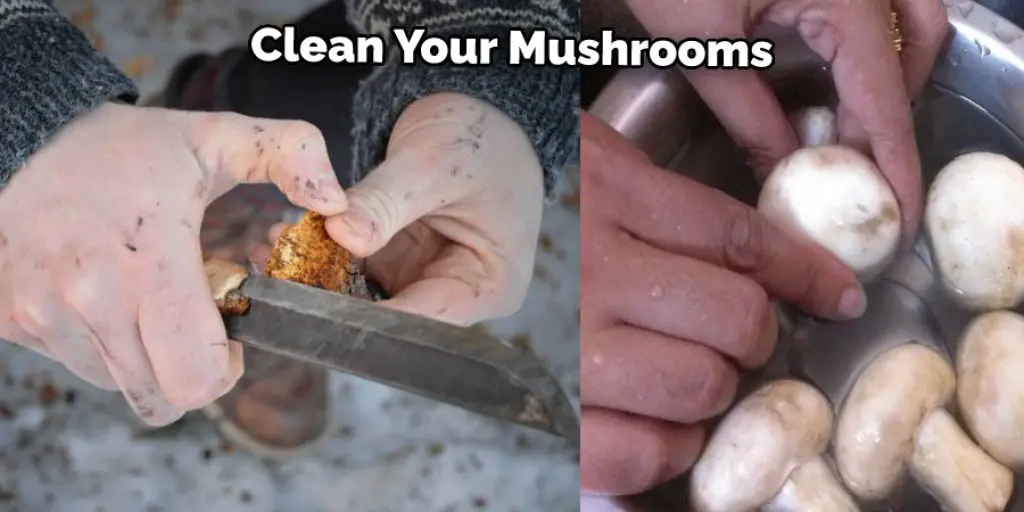 Clean Your Mushrooms