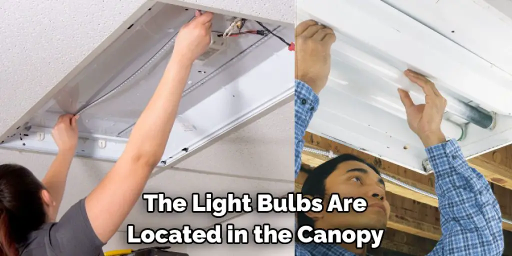 The Light Bulbs Are  Located in the Canopy 