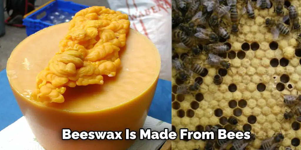 Beeswax Is Made From Bees