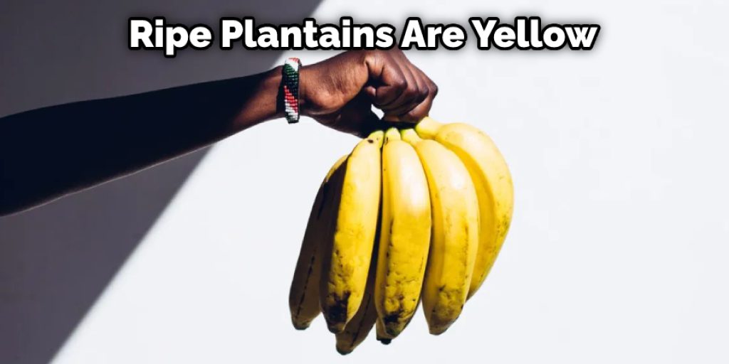 Ripe Plantains Are Yellow