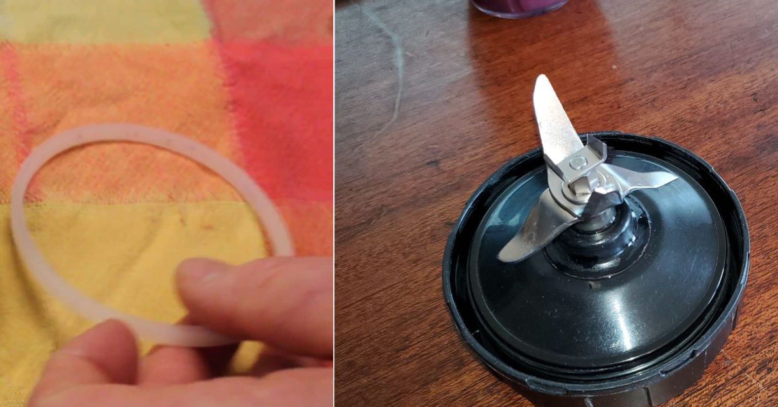 How to Clean Ninja Blender Rubber Gasket 11 Ways (2024)