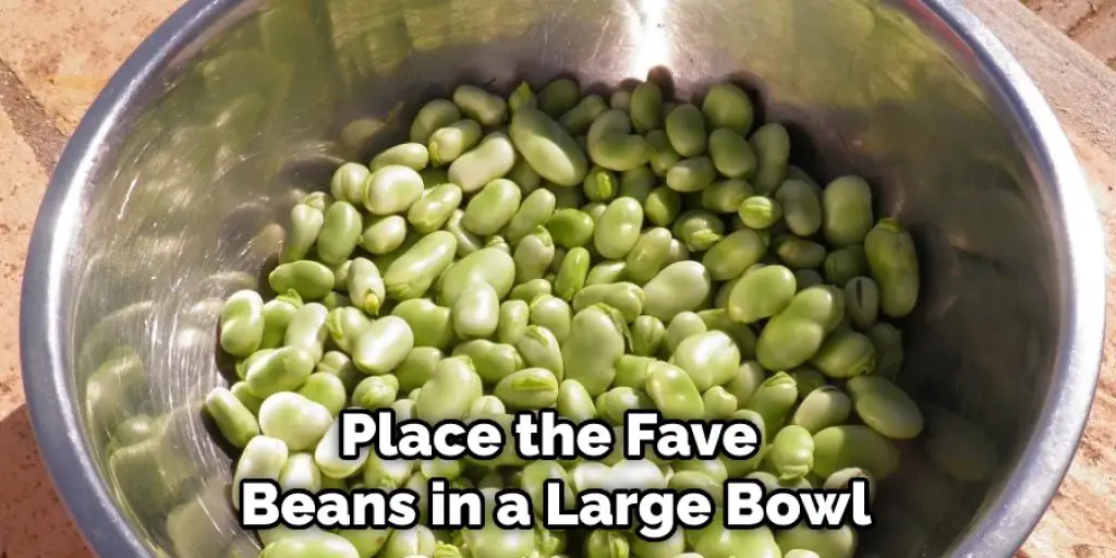 Place the Fave Beans in a Large Bowl