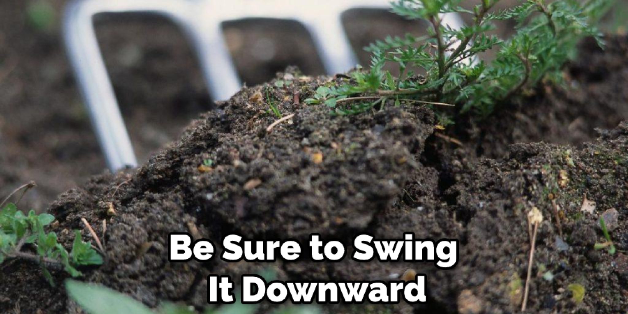 How to Sift Rocks From Dirt | 15 Easy Ways (2026)