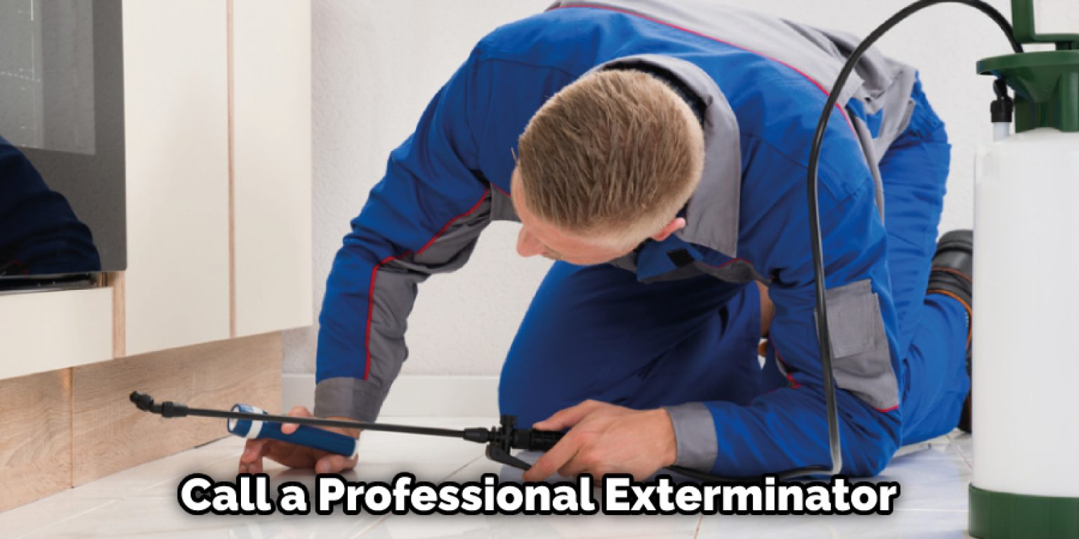 How to Stop Rats From Digging Under Foundation 15 Ways