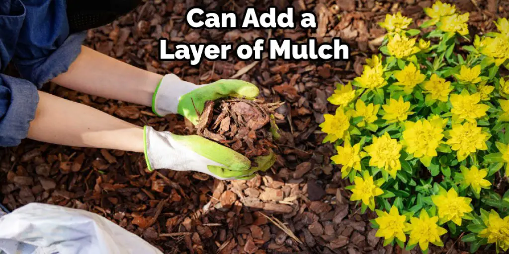 Can Add a  Layer of Mulch
