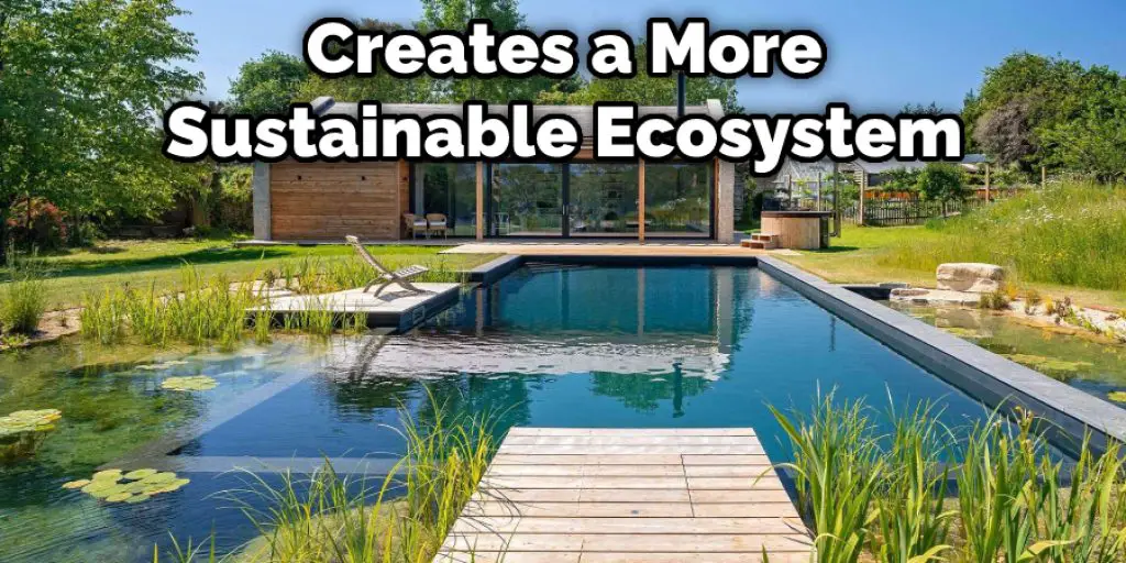 Creates a More Sustainable Ecosystem