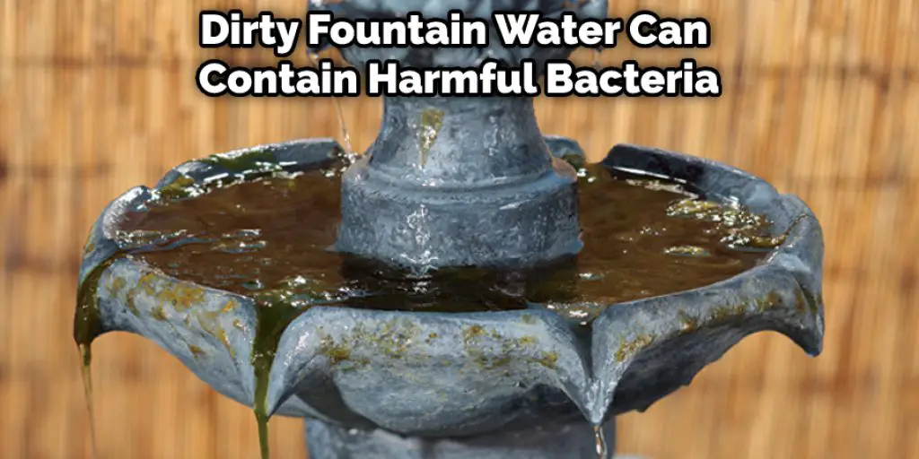 Dirty Fountain Water Can  Contain Harmful Bacteria