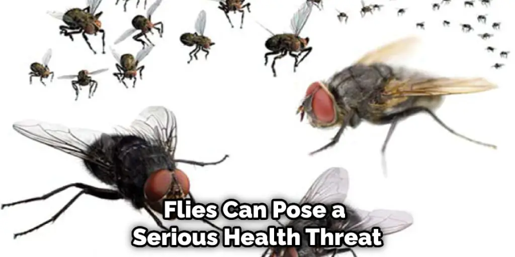 Flies Can Pose a  Serious Health Threat