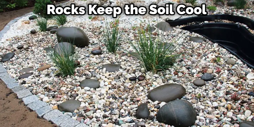 Rocks Keep the Soil Cool