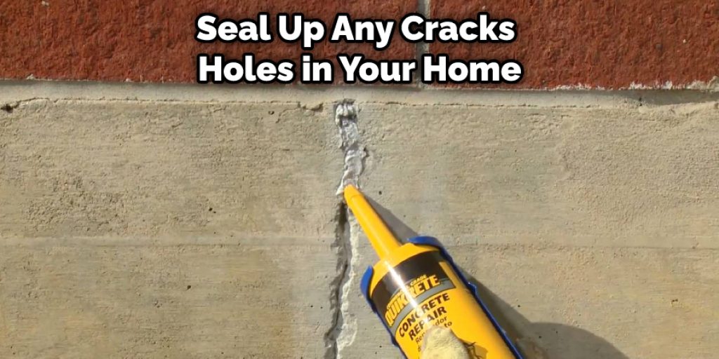 Seal Up Any Cracks  Holes in Your Home