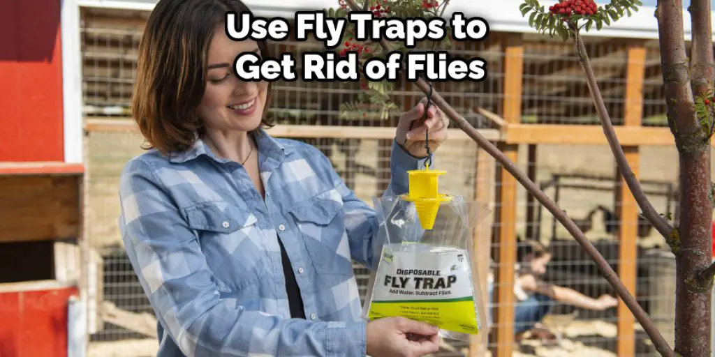 Use Fly Traps to  Get Rid of Flies