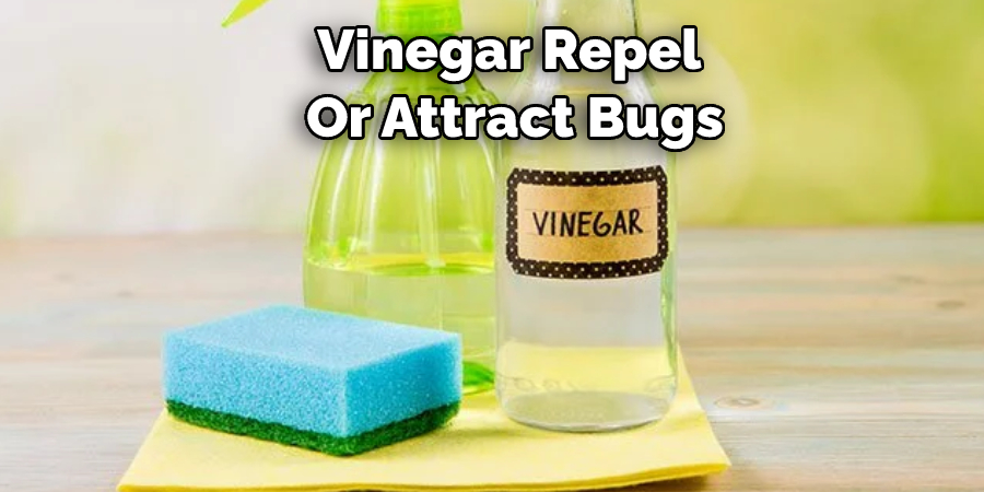 Vinegar Repel  Or Attract Bugs
