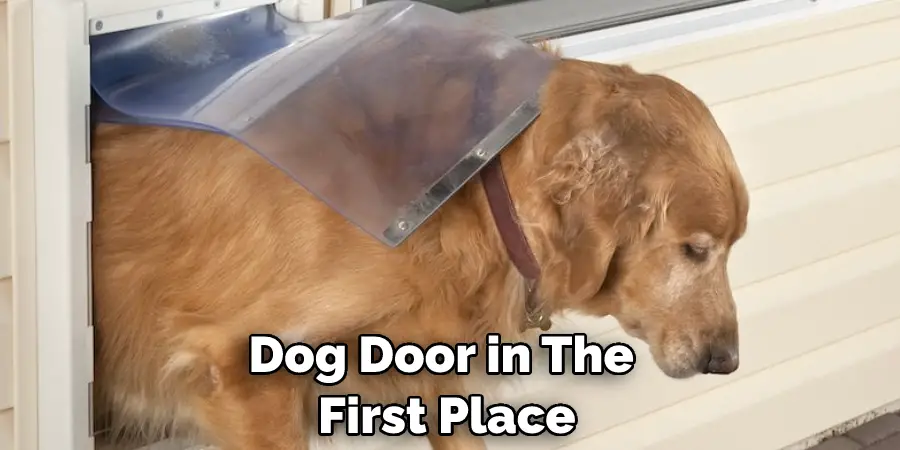 Dog Door in The First Place