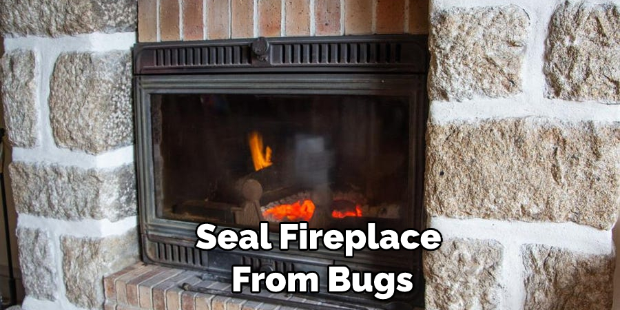 Seal Fireplace From Bugs