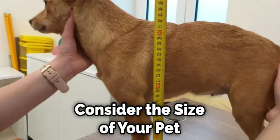 Consider the Size of Your Pet