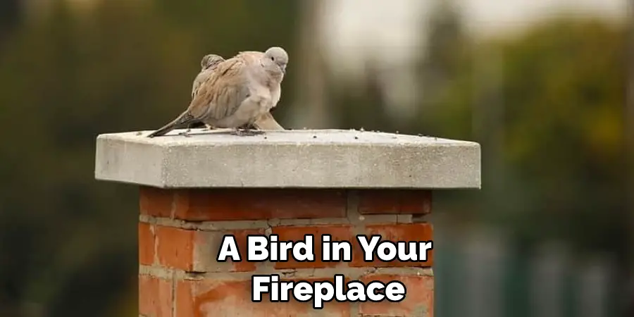 A Bird in Your  Fireplace