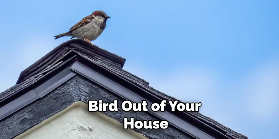 Bird Out of Your  House