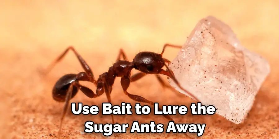 Use Bait to Lure the  Sugar Ants Away