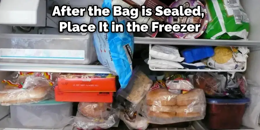 After the Bag is Sealed, Place It in the Freezer