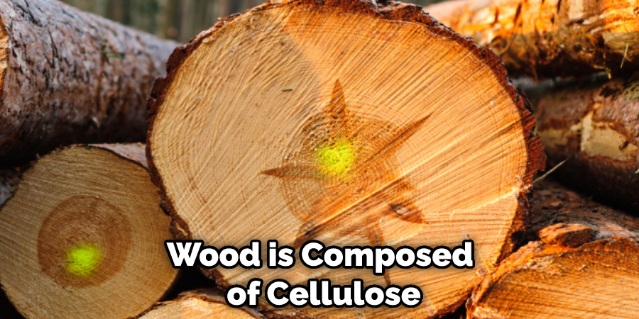 Wood is Composed of Cellulose