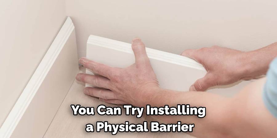 You Can Try Installing a Physical Barrier