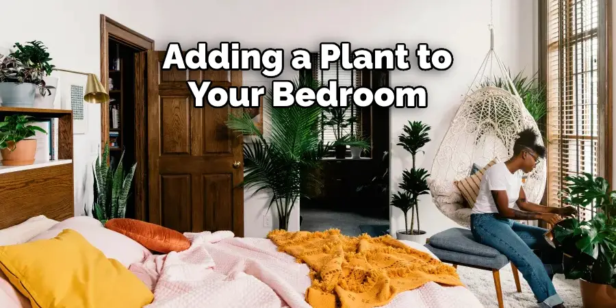 Adding a Plant to Your Bedroom