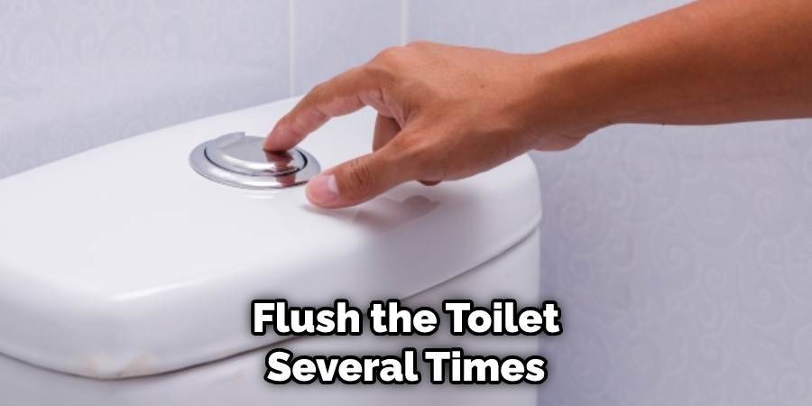 Flush the Toilet Several Times