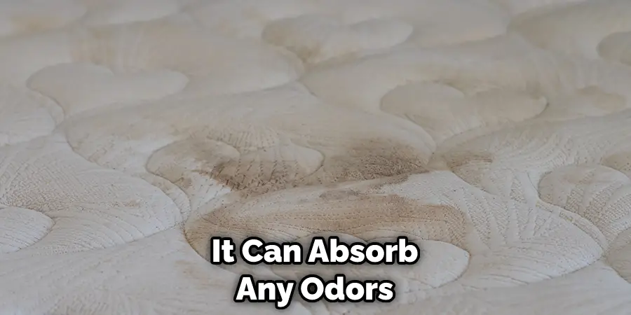 It Can Absorb Any Odors