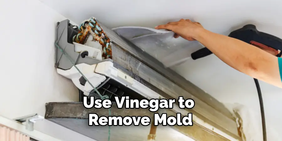 Use Vinegar to Remove Mold
