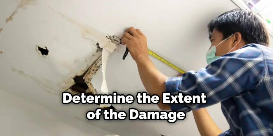 Determine the Extent of the Damage