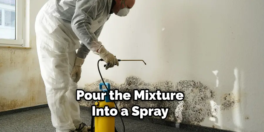 Pour the Mixture Into a Spray 