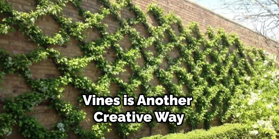 Vines is Another Creative Way
