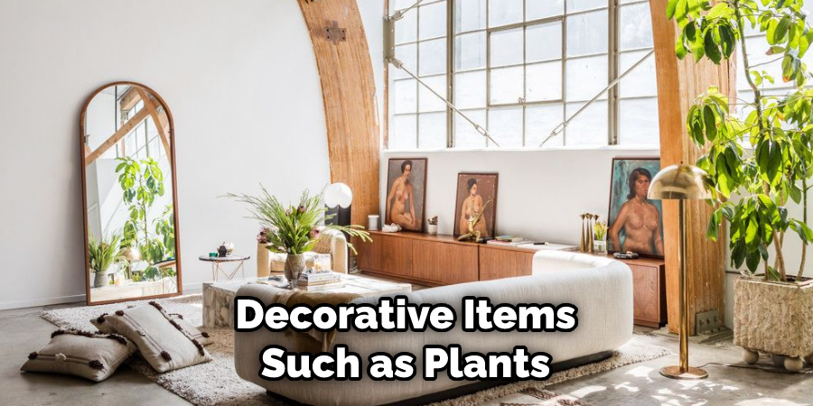 Decorative Items Such as Plants