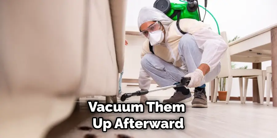 Vacuum Them Up Afterward