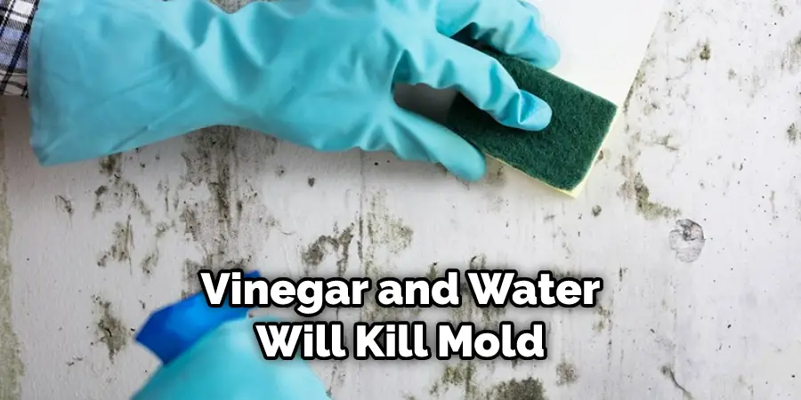 Vinegar and Water Will Also Work to Kill Mold