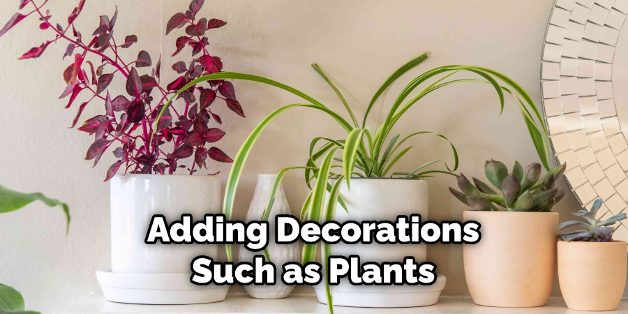 Adding Decorations Such as Plants