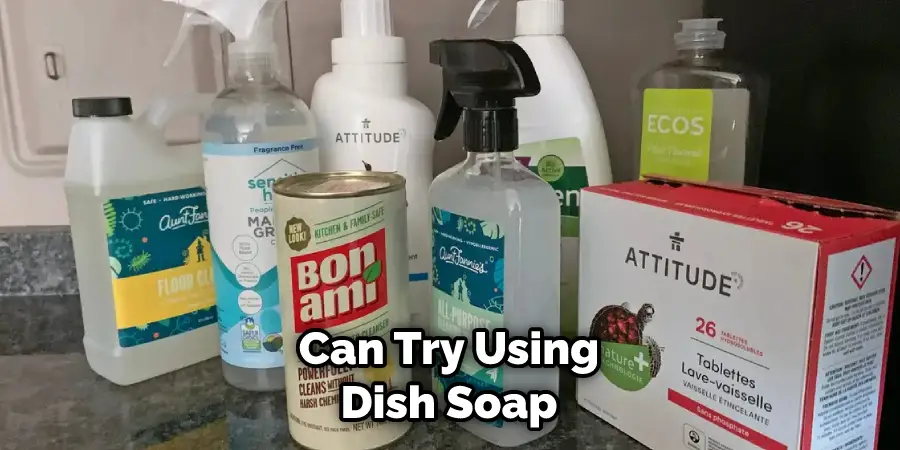 Can Try Using Dish Soap