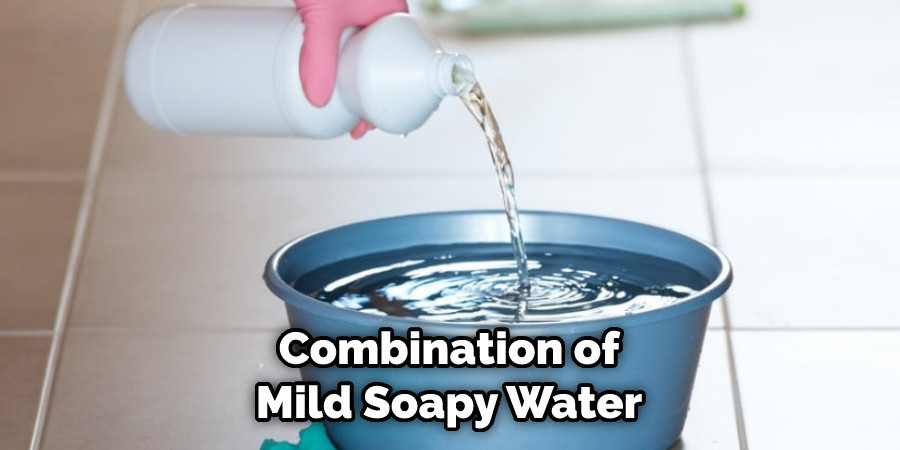 Combination of Mild Soapy Water