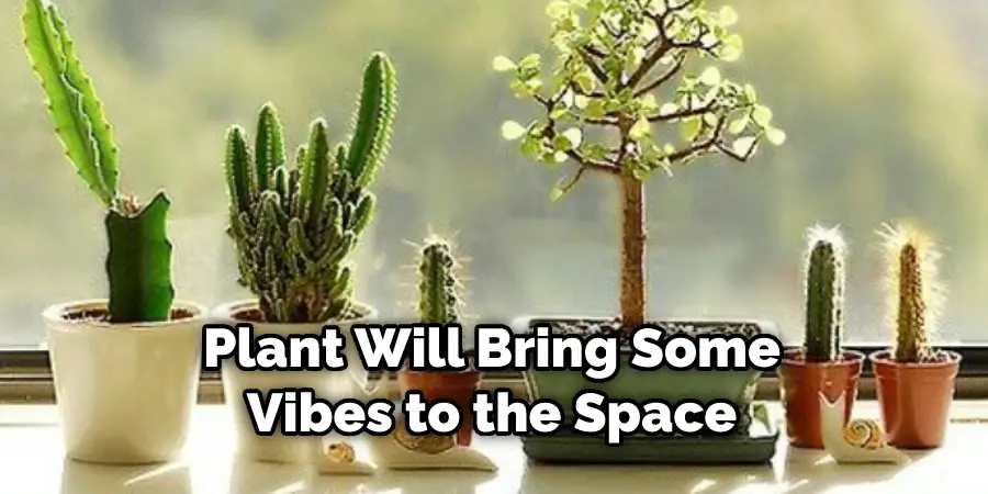 Plant Will Bring Some Vibes to the Space