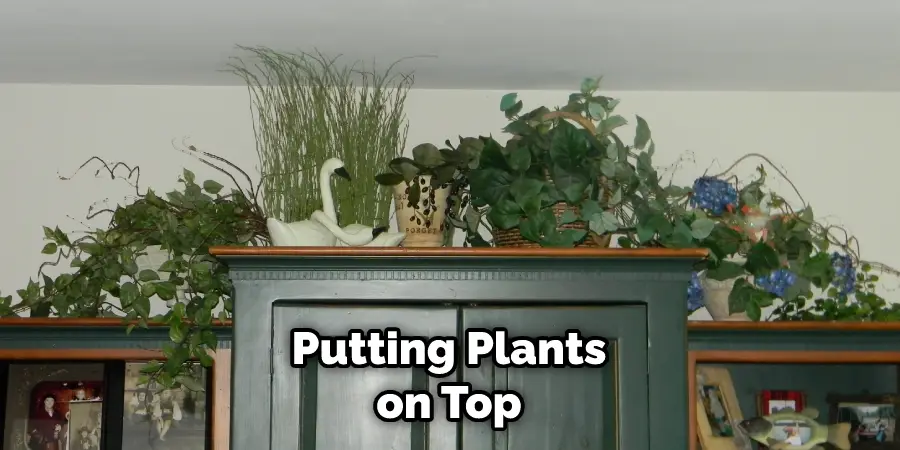 Putting Plants on Top