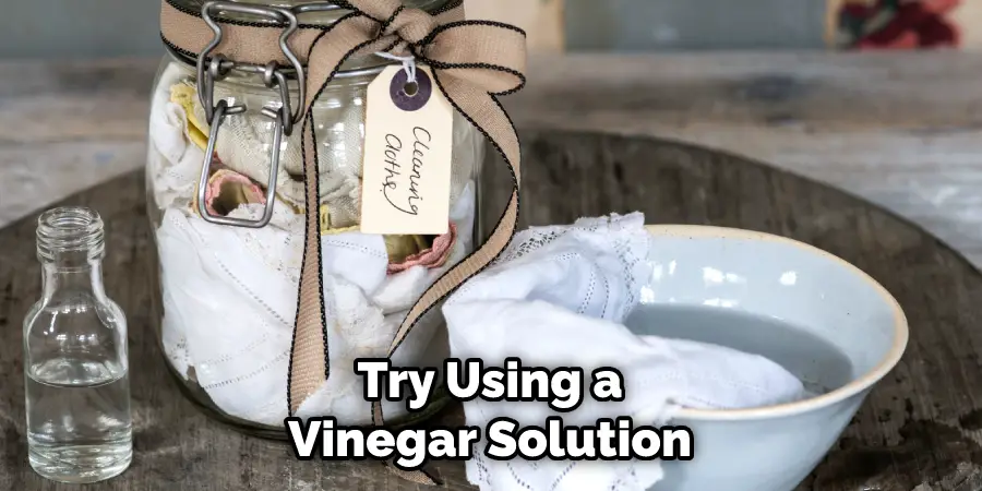 Try Using a Vinegar Solution