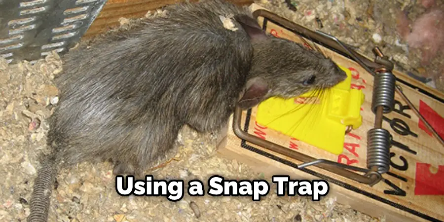 Using a Snap Trap