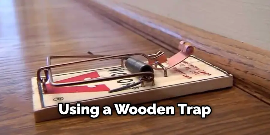 Using a Wooden Trap