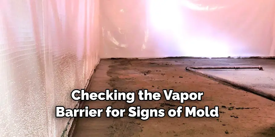 Checking the Vapor Barrier for Signs of Mold