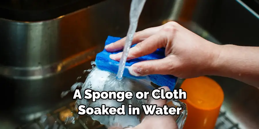 A Sponge or Cloth Soaked in Water