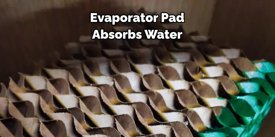 Evaporator Pad 
Absorbs Water