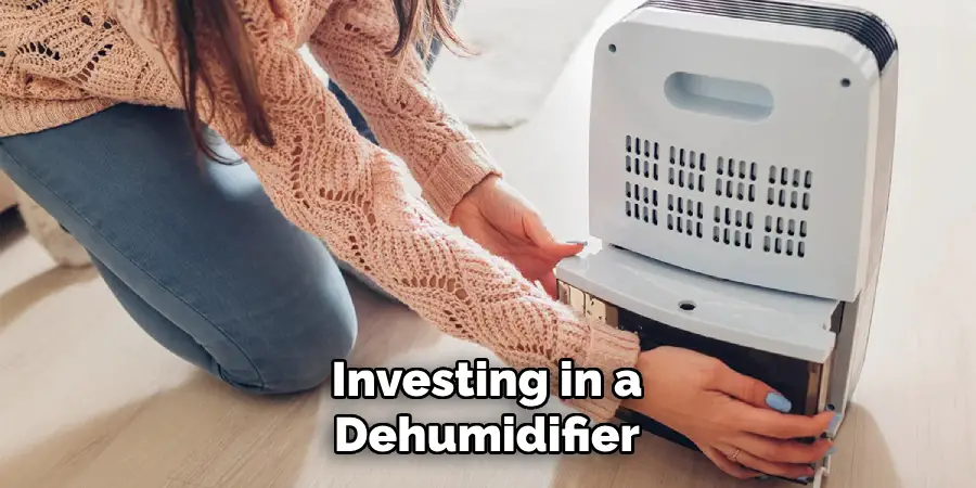 Investing in a Dehumidifier