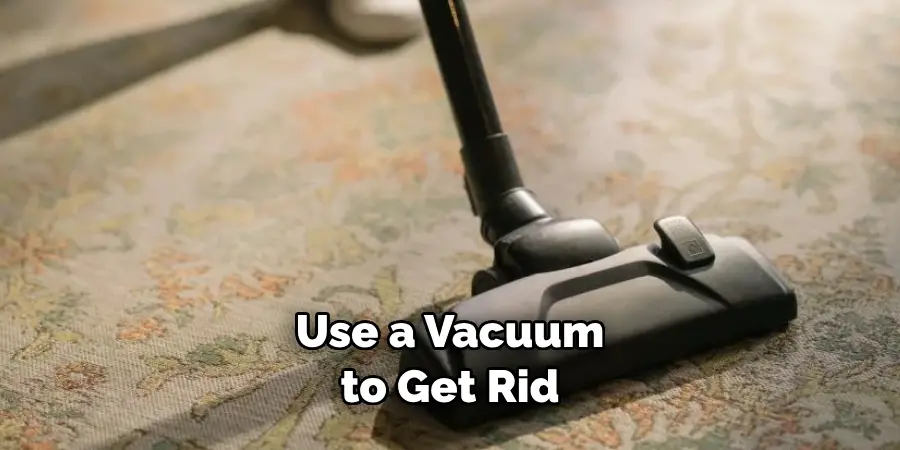 Use a Vacuum to Get Rid